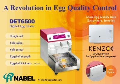 egg japan digital company|NABEL Co.,Ltd..